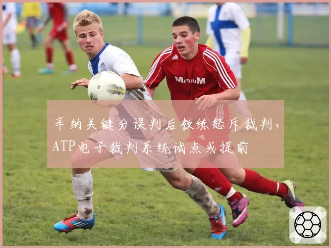 辛纳关键分误判后教练怒斥裁判,ATP电子裁判系统试点或提前