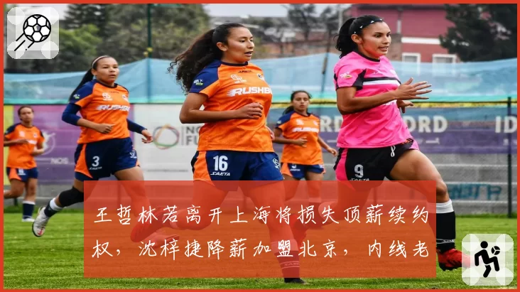 王哲林若离开上海将损失顶薪续约权，沈梓捷降薪加盟北京，内线老将选择凸显市场分化