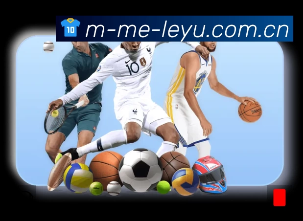 关于 leyu